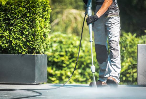 Best Animal Enclosure Cleaning  in Taylor Lake Village, TX