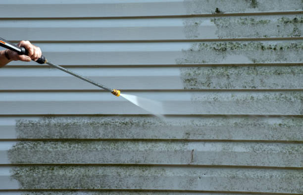 Best Solar Panel Cleaning  in Taylor Lake Village, TX